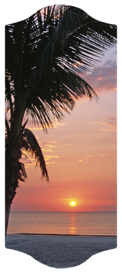 DARAY-C-127 (Sunset) Footprints